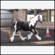 chaps5_0053