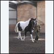 chaps5_0054