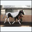chaps5_0061