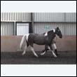 chaps5_0067