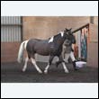 chaps5_0068