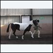 chaps5_0069