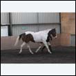 chaps5_0074