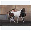 chaps5_0075