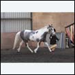 chaps5_0078