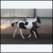 chaps5_0079