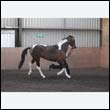 chaps5_0080