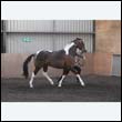 chaps5_0081