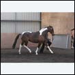chaps5_0083