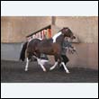 chaps5_0084