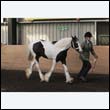 chaps5_0090