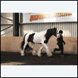 chaps5_0091