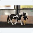 chaps5_0093