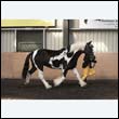 chaps5_0094