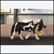chaps5_0095