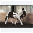chaps5_0096