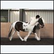 chaps5_0098