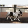 chaps5_0099