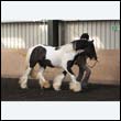 chaps5_0103