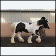 chaps5_0105