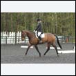 durdress22_0004