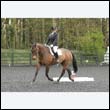 durdress22_0006