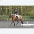 durdress22_0007