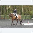 durdress22_0008