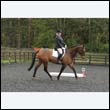 durdress22_0011