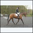 durdress22_0013