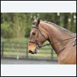 durdress22_0015