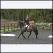 durdress22_0033