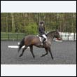 durdress22_0037