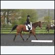 durdress22_0039