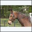 durdress22_0040