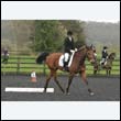 durdress22_0044