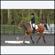 durdress22_0045
