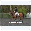 durdress22_0046