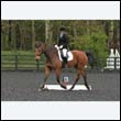 durdress22_0047