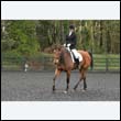 durdress22_0048