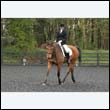 durdress22_0049