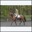 durdress22_0050