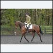 durdress22_0051