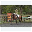 durdress22_0055