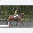 durdress22_0060