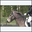 durdress22_0063