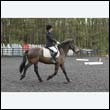 durdress22_0076
