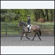 durdress22_0084