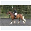 durdress22_0087