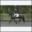 durdress22_0089